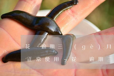 花唄逾期三個(gè)月怎樣回復(fù)正常使用-花唄逾期三個(gè)月怎樣回復(fù)正常使用呢