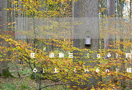 花唄逾期三個(gè)月打電話說(shuō)上門(mén)核實(shí)-花唄逾期三個(gè)月打電話說(shuō)上門(mén)核實(shí)是真的嗎
