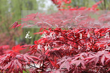 花唄逾期三個(gè)月會(huì)被起訴真的會(huì)上門嗎?-花唄逾期三個(gè)月說要聯(lián)系法院是真的嗎