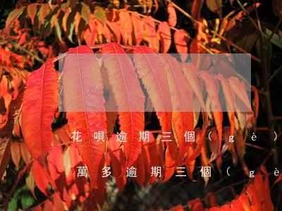 花唄逾期三個(gè)月欠1萬(花唄欠款1萬多逾期三個(gè)月會(huì)不會(huì)被起訴)