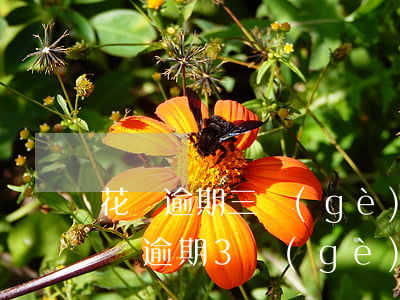 花唄逾期三個(gè)月要起訴我(支付寶花唄逾期3個(gè)月,打電話說(shuō)要起訴我了)