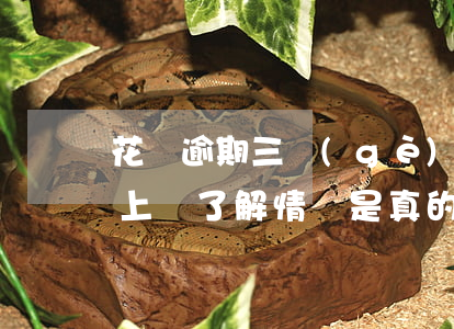 花唄逾期三個(gè)月說(shuō)要上門了解情況是真的嗎-花唄逾期三個(gè)月說(shuō)要上門了解情況是真的嗎
