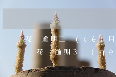 花唄逾期三個(gè)月說要被起訴-支付寶花唄逾期3個(gè)月以上會被起訴嗎?