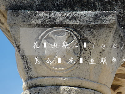 花唄逾期三個(gè)月起訴會(huì)怎么樣(花唄逾期多久會(huì)被起訴?花唄逾期怎么辦)