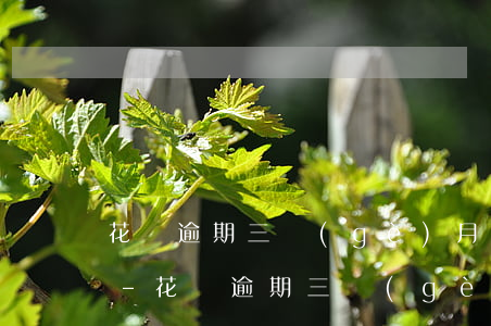 花唄逾期三個(gè)月還上后多久可以用-花唄逾期三個(gè)月還上后多久可以用啊