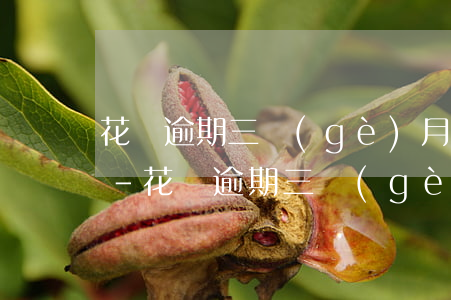 花唄逾期三個(gè)月還完了還能解凍嗎-花唄逾期三個(gè)月還完了還能解凍嗎怎么辦