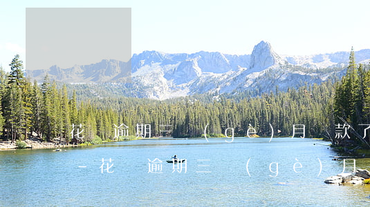 花唄逾期三個(gè)月還款了多久可以用-花唄逾期三個(gè)月還款了多久可以用啊