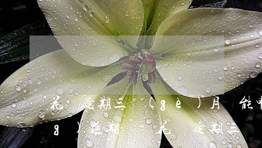 花唄逾期三個(gè)月還能申請(qǐng)延期嗎-花唄逾期三個(gè)月還能申請(qǐng)延期嗎怎么辦