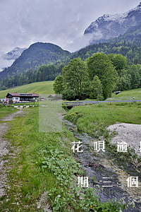 花唄逾期三個多月還會開通花唄嗎-花唄逾期三個多月還會開通花唄嗎安全嗎