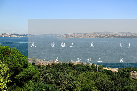 花唄逾期三個月凍結(jié)怎樣才能解凍-花唄逾期三個月凍結(jié)怎樣才能解凍呢