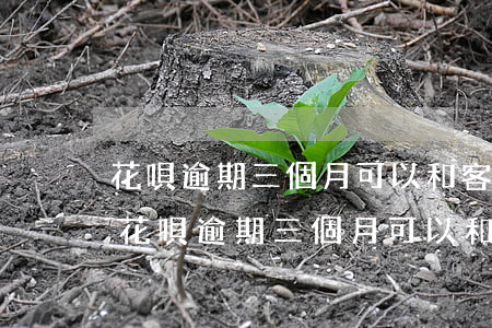 花唄逾期三個月可以和客服商量晚點還嗎-花唄逾期三個月可以和客服商量晚點還嗎