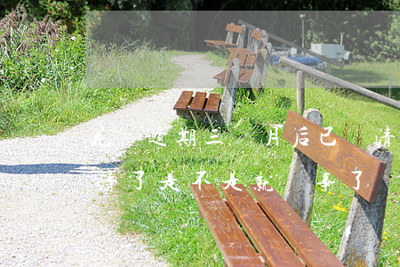 花唄逾期三個月后已還清(花唄逾期幾天后還清了是不是就沒事了)