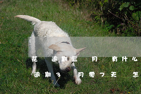 花唄逾期三個月會有什么后果?,有獎問答（花唄逾期3個月零7天會怎樣）