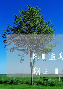 花唄逾期三個月為什么不打電話了-花唄逾期三個月為什么不打電話了呢