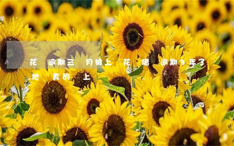 花唄逾期三個月被上門(花唄借唄逾期3年了,他們真的會上門嗎?)