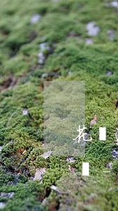 花唄逾期三個月說會聯(lián)系家人嗎-花唄逾期三個月說會聯(lián)系家人嗎是真的嗎