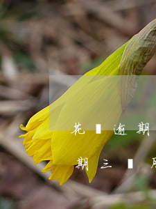花唄逾期三個月說要交戶籍地處理-花唄逾期三個月說要交戶籍地處理是真的嗎