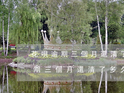 花唄逾期三個月還清了多久能開通-花唄逾期三個月還清了多久能開通借唄