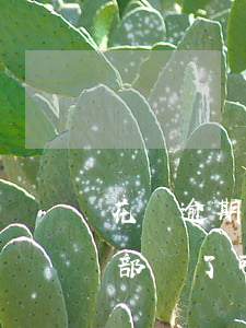 花唄逾期三個月還能用么(花唄逾期三個月 全部還了可以立刻用嗎)
