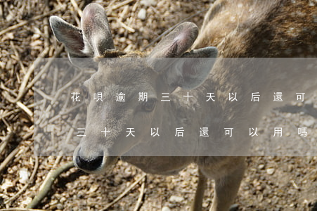 花唄逾期三十天以后還可以用嗎-花唄逾期三十天以后還可以用嗎有影響嗎