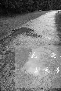 花唄逾期三十天后恢復(fù)(花唄逾期十五天多少時(shí)間能恢復(fù)使用)