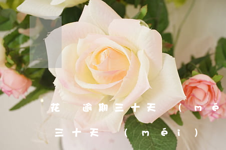 花唄逾期三十天沒(méi)還了(花唄逾期三十天沒(méi)還了會(huì)怎么樣)