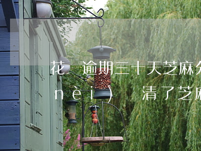 花唄逾期三十天芝麻分(花唄逾期七天之內(nèi)還清了 芝麻信用下降了)