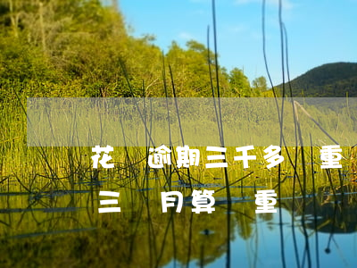 花唄逾期三千多嚴重嗎(花唄欠款三千多,逾期三個月,算嚴重嗎?)