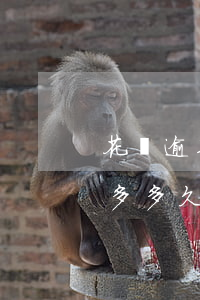 花唄逾期三千多多久會被起訴(花唄逾期三千多多久會被起訴)