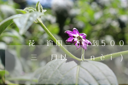 花唄逾期三千降到500(花唄6000逾期三個月以內(nèi)可以恢復(fù)額度嗎)