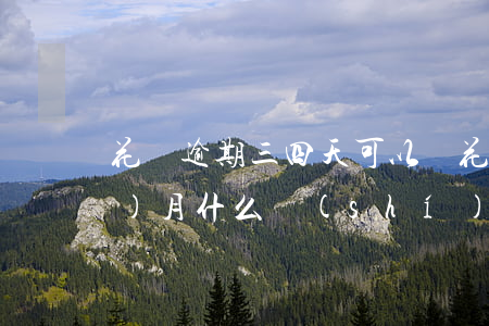 花唄逾期三四天可以嗎(花唄逾期四個(gè)月,什么時(shí)間可以重新使用)