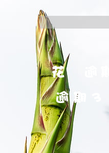 花唄逾期三四天有關(guān)系嗎(花唄逾期3個(gè)多月是不是永遠(yuǎn)都不會恢復(fù)了)