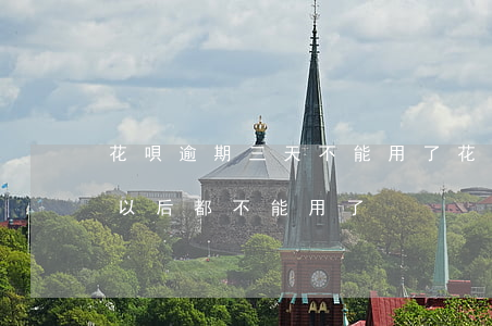 花唄逾期三天不能用了(花唄逾期三天是不是以后都不能用了?)