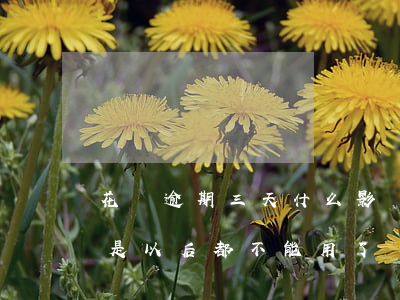 花唄逾期三天什么影響嗎(花唄逾期三天是不是以后都不能用了?)