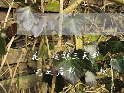 花唄逾期三天影響買車嗎(花唄逾期3個月還完之后影響貸款買車嗎?)