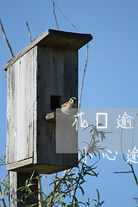 花唄逾期三天會(huì)上征信嗎(花唄不小心逾期了3天,對(duì)征信有影響嗎)
