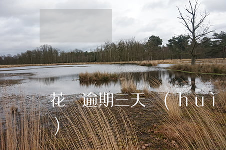 花唄逾期三天會(huì)被關(guān)嗎