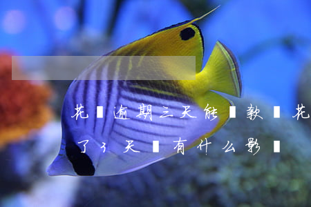 花唄逾期三天能還款嗎(花唄不小心逾期還款了3天會有什么影響)