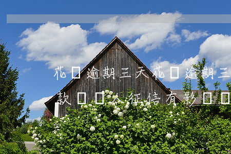 花唄逾期 三天(花唄逾期三天內(nèi)還款對個人征信有影響嗎)