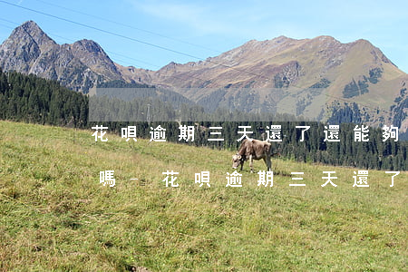 花唄逾期三天還了還能夠刷出來(lái)嗎-花唄逾期三天還了還能夠刷出來(lái)嗎怎么辦