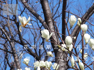 花唄逾期三天還可以用嗎(支付寶花唄逾期三個(gè)月還完還能不能用)