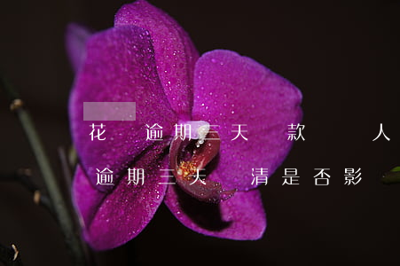 花唄逾期三天還款對個人征信有影響嗎（花唄逾期三天還清是否影響征信）