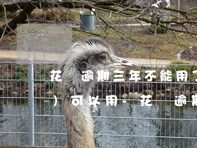 花唄逾期三年不能用了什么時候恢復(fù)可以用-花唄逾期3年了,多久能恢復(fù)使用資格