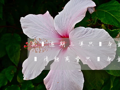 花唄逾期三年只還本金(花唄欠了兩年想全部還清 能商量只還本金嗎)