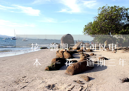 花唄逾期三年可以申請(qǐng)免息還本嗎-花唄逾期三年可以申請(qǐng)免息還本嗎