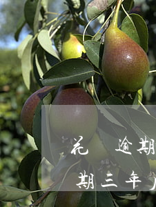 花唄逾期三年后還清多久會漲額度-花唄逾期三年后還清多久會漲額度啊