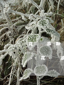 花唄逾期三年多怎么快速恢復(fù)使用-花唄逾期三年多怎么快速恢復(fù)使用額度