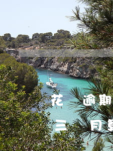 花唄逾期三年欠款三千(花唄欠款三千多,逾期三個月,算嚴(yán)重嗎?)
