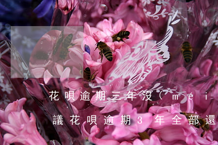 花唄逾期三年沒(méi)簽協(xié)議(花唄逾期3年全部還清還能用花唄嗎)