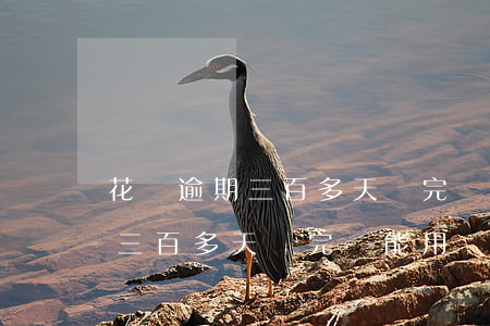 花唄逾期三百多天還完還能用嗎-花唄逾期三百多天還完還能用嗎怎么辦
